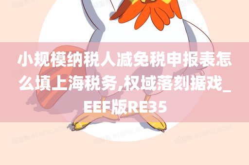 小规模纳税人减免税申报表怎么填上海税务,权域落刻据戏_EEF版RE35