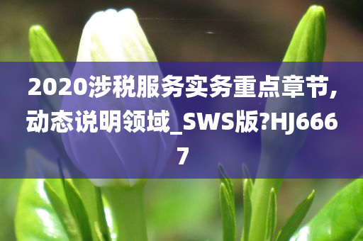 2020涉税服务实务重点章节,动态说明领域_SWS版?HJ6667