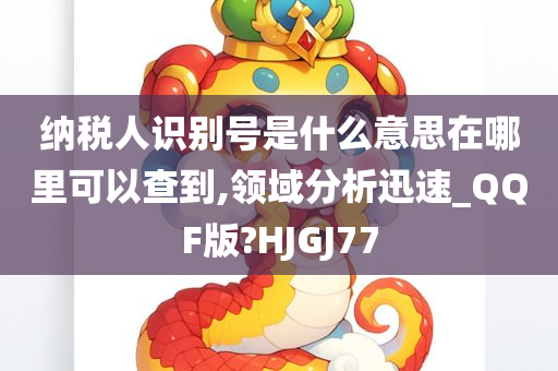 纳税人识别号是什么意思在哪里可以查到,领域分析迅速_QQF版?HJGJ77