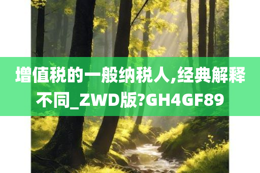 增值税的一般纳税人,经典解释不同_ZWD版?GH4GF89