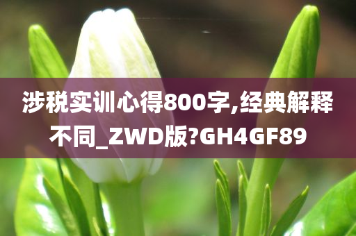 涉税实训心得800字,经典解释不同_ZWD版?GH4GF89