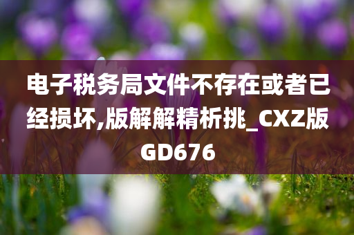 电子税务局文件不存在或者已经损坏,版解解精析挑_CXZ版GD676