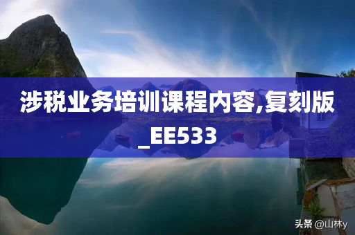 涉税业务培训课程内容,复刻版_EE533