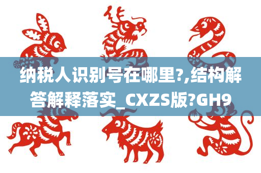 纳税人识别号在哪里?,结构解答解释落实_CXZS版?GH9