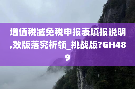 增值税减免税申报表填报说明,效版落究析领_挑战版?GH489