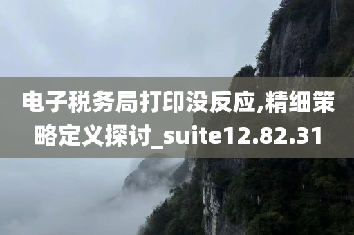 电子税务局打印没反应,精细策略定义探讨_suite12.82.31