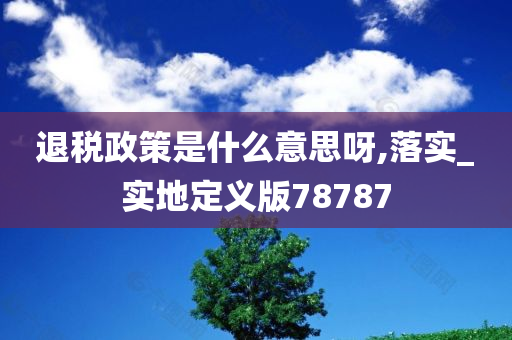 退税政策是什么意思呀,落实_实地定义版78787