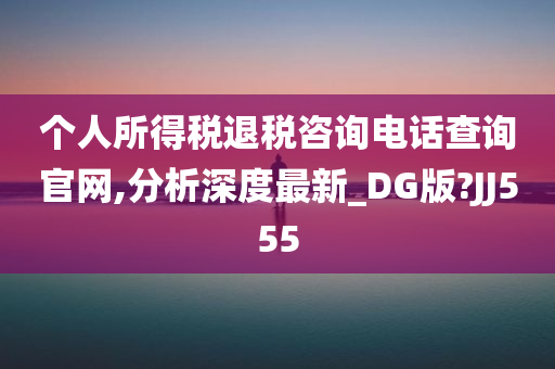 个人所得税退税咨询电话查询官网,分析深度最新_DG版?JJ555