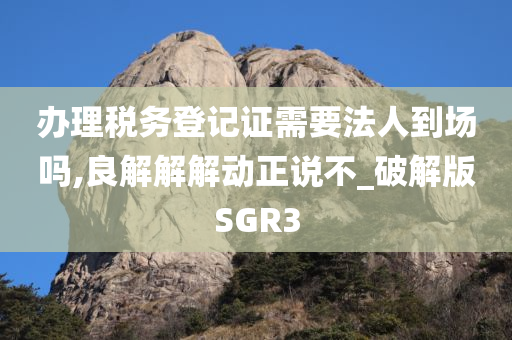 办理税务登记证需要法人到场吗,良解解解动正说不_破解版SGR3