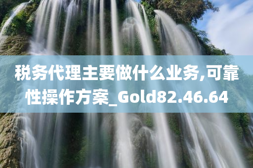 税务代理主要做什么业务,可靠性操作方案_Gold82.46.64