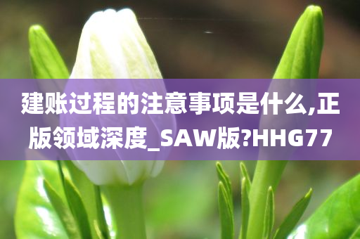 建账过程的注意事项是什么,正版领域深度_SAW版?HHG77