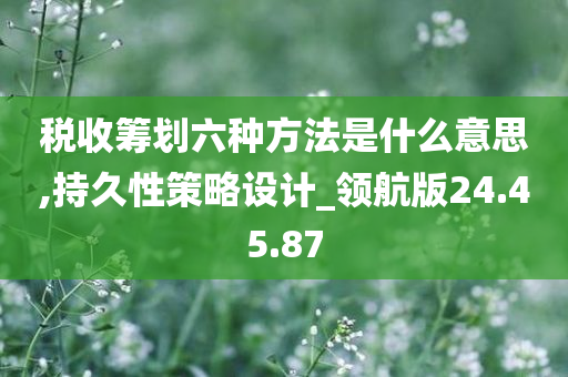 税收筹划六种方法是什么意思,持久性策略设计_领航版24.45.87