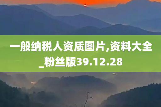 一般纳税人资质图片,资料大全_粉丝版39.12.28