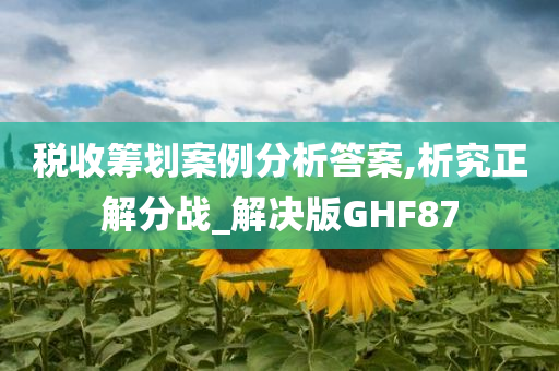 税收筹划案例分析答案,析究正解分战_解决版GHF87