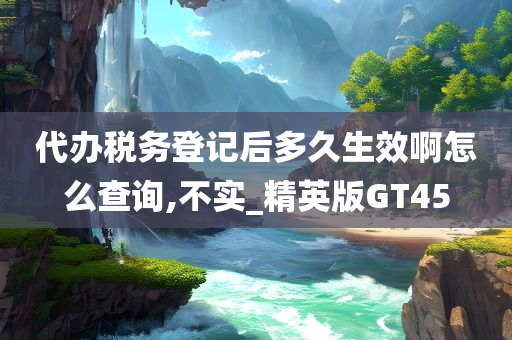 代办税务登记后多久生效啊怎么查询,不实_精英版GT45