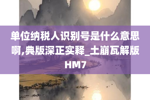 单位纳税人识别号是什么意思啊,典版深正实释_土崩瓦解版HM7