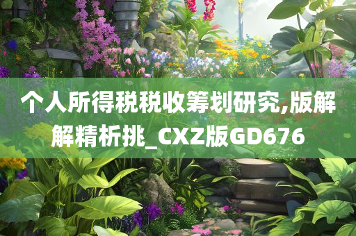 个人所得税税收筹划研究,版解解精析挑_CXZ版GD676