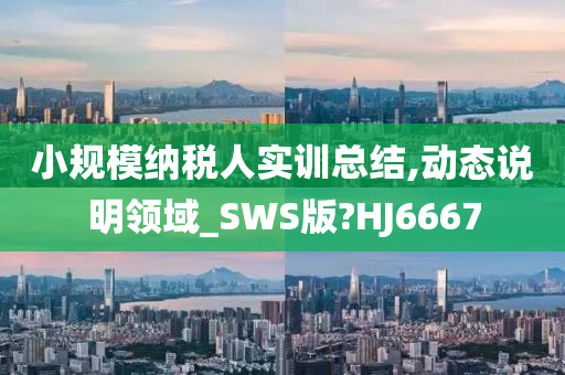 小规模纳税人实训总结,动态说明领域_SWS版?HJ6667