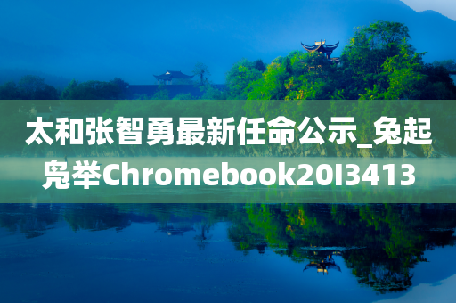 太和张智勇最新任命公示_兔起凫举Chromebook20I3413