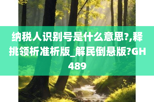 纳税人识别号是什么意思?,释挑领析准析版_解民倒悬版?GH489