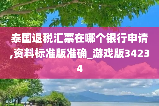 泰国退税汇票在哪个银行申请,资料标准版准确_游戏版34234