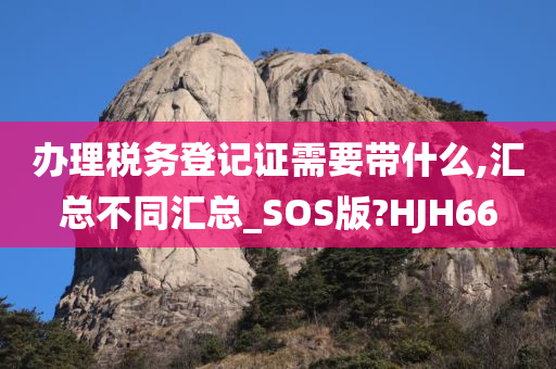 办理税务登记证需要带什么,汇总不同汇总_SOS版?HJH66