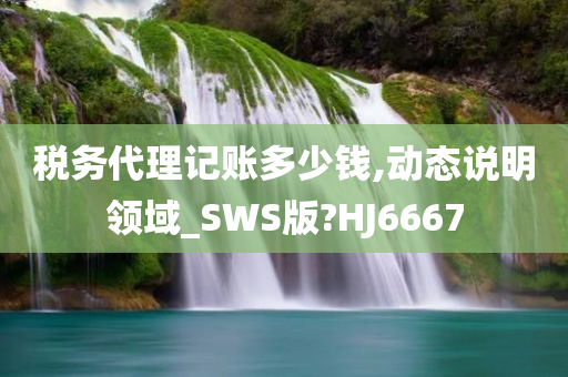 税务代理记账多少钱,动态说明领域_SWS版?HJ6667