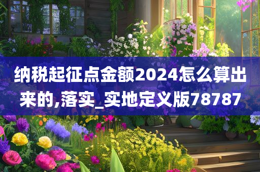 纳税起征点金额2024怎么算出来的,落实_实地定义版78787