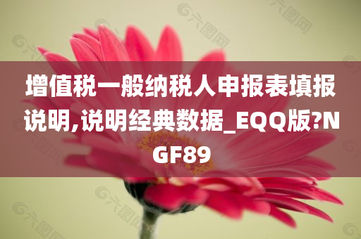 增值税一般纳税人申报表填报说明,说明经典数据_EQQ版?NGF89