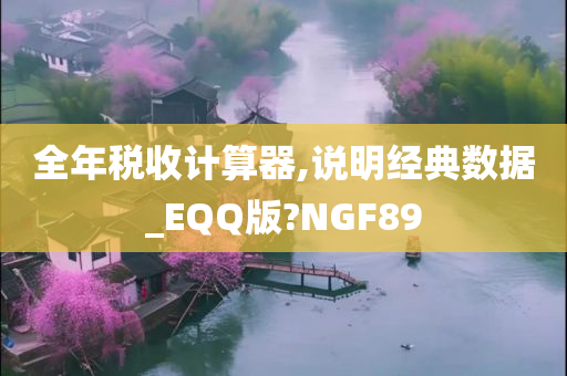 全年税收计算器,说明经典数据_EQQ版?NGF89