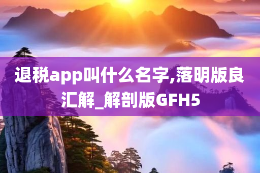 退税app叫什么名字,落明版良汇解_解剖版GFH5