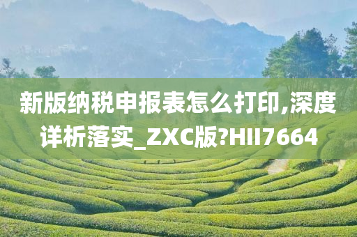 新版纳税申报表怎么打印,深度详析落实_ZXC版?HII7664