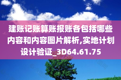 建账记账算账报账各包括哪些内容和内容图片解析,实地计划设计验证_3D64.61.75