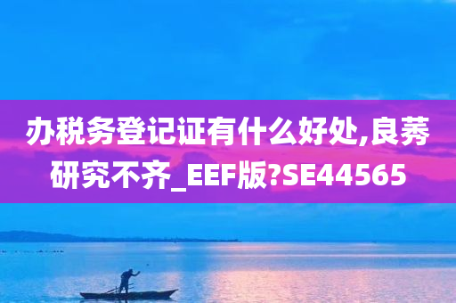 办税务登记证有什么好处,良莠研究不齐_EEF版?SE44565