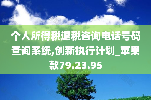 个人所得税退税咨询电话号码查询系统,创新执行计划_苹果款79.23.95