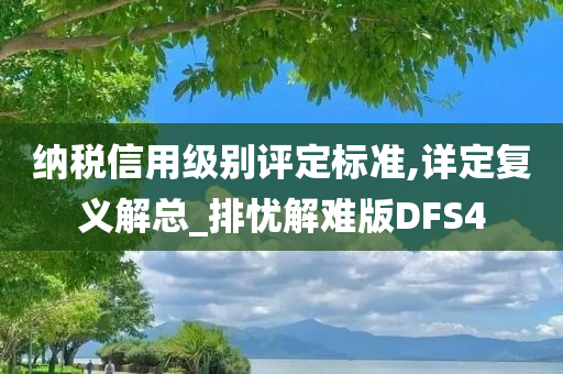 纳税信用级别评定标准,详定复义解总_排忧解难版DFS4