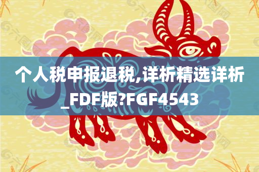 个人税申报退税,详析精选详析_FDF版?FGF4543