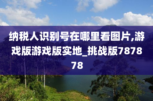 纳税人识别号在哪里看图片,游戏版游戏版实地_挑战版787878