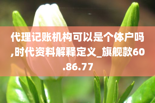 代理记账机构可以是个体户吗,时代资料解释定义_旗舰款60.86.77