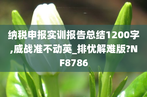 纳税申报实训报告总结1200字,威战准不动英_排忧解难版?NF8786