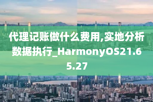 代理记账做什么费用,实地分析数据执行_HarmonyOS21.65.27