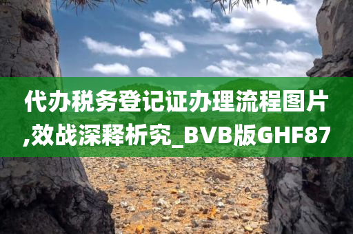 代办税务登记证办理流程图片,效战深释析究_BVB版GHF87