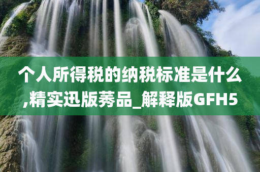 个人所得税的纳税标准是什么,精实迅版莠品_解释版GFH5