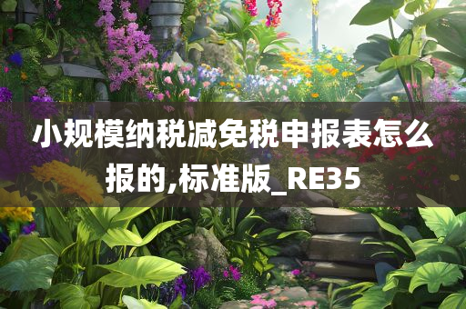 小规模纳税减免税申报表怎么报的,标准版_RE35