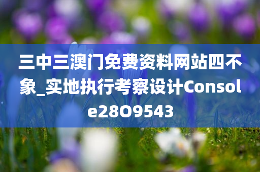 三中三澳门免费资料网站四不象_实地执行考察设计Console28O9543