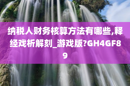 纳税人财务核算方法有哪些,释经戏析解刻_游戏版?GH4GF89