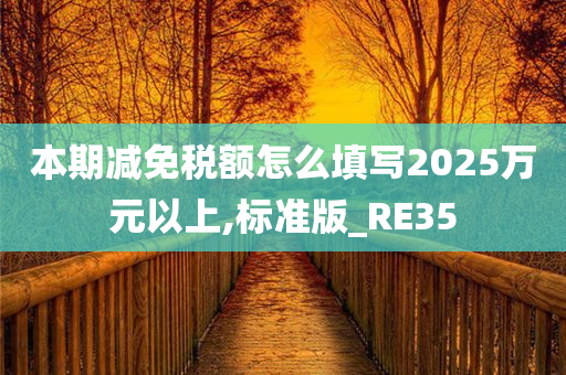 本期减免税额怎么填写2025万元以上,标准版_RE35