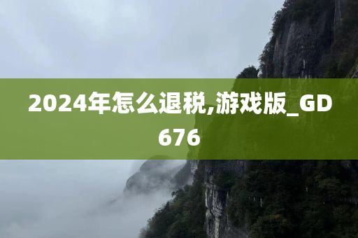 2024年怎么退税,游戏版_GD676