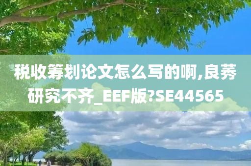 税收筹划论文怎么写的啊,良莠研究不齐_EEF版?SE44565