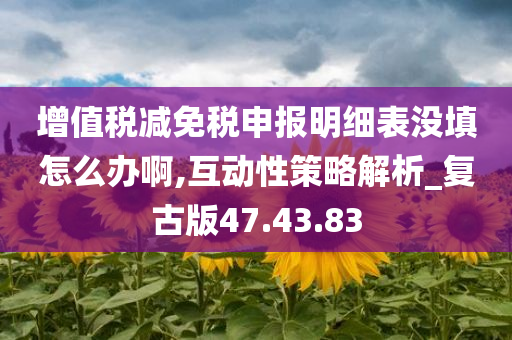 增值税减免税申报明细表没填怎么办啊,互动性策略解析_复古版47.43.83